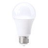 9W 12V DC LED AMPUL